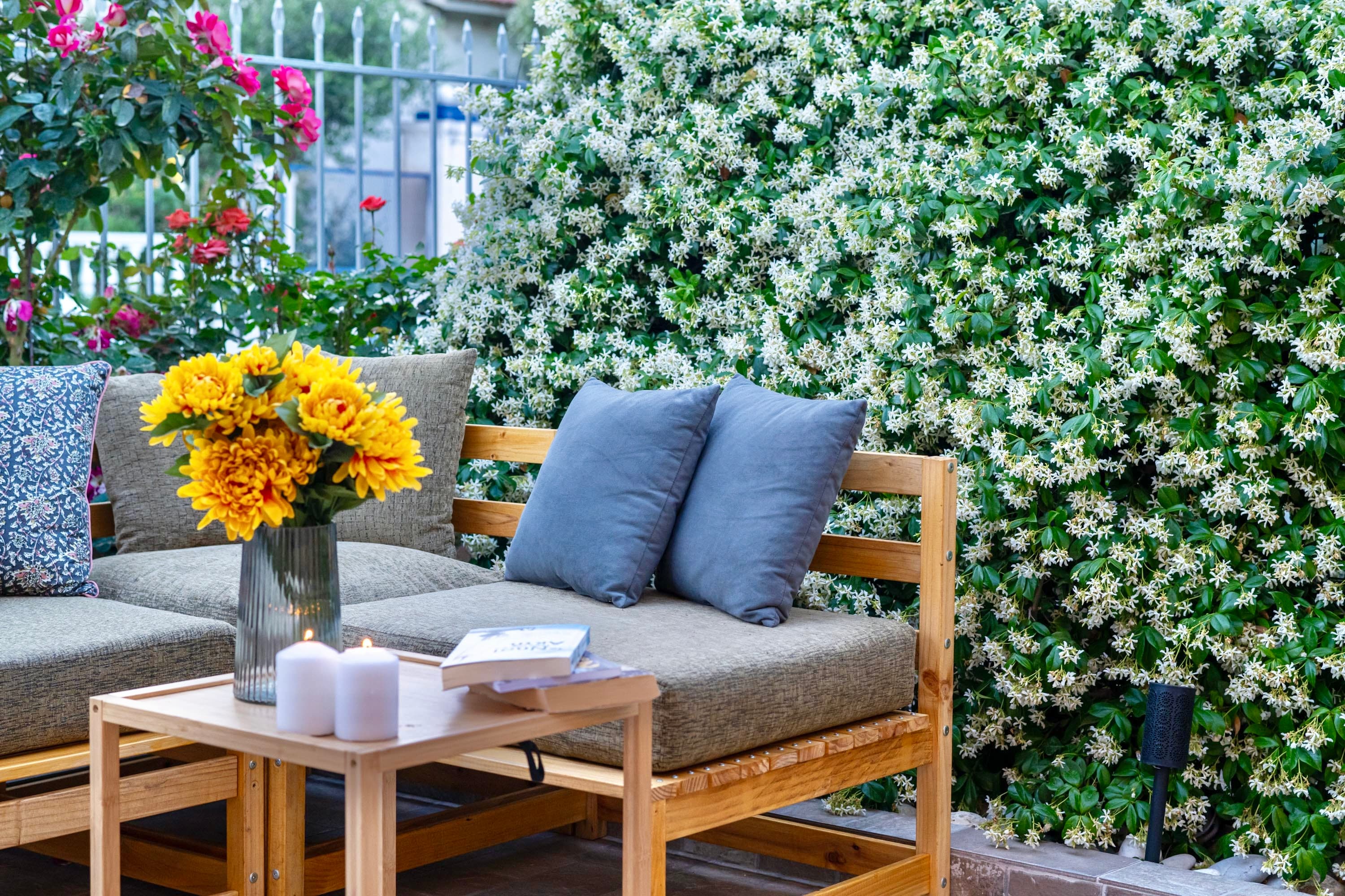 Private garden — daytime